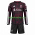 Camisola Liverpool Criança Terceiro equipamento 2026-2027 Mangas Compridas