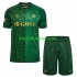 Camisola Real Betis Criança Equipamento alternativo 2026-2027 Mangas Curtas