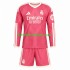 Camisola Real Madrid Criança Terceiro equipamento 2026-2027 Mangas Compridas