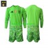 Camisola de Guarda-redes Seleção da Espanhola Criança Terceiro equipamento 2026-2027 Mangas Compridas