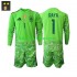 Camisola de Guarda-redes Seleção da Espanhola David Raya 1 Criança Terceiro equipamento 2026-2027 Mangas Compridas