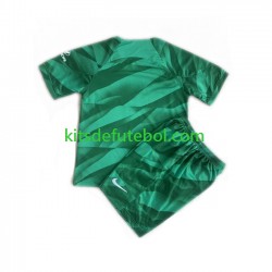 Camisola de Guarda-redes Atlético Madrid Criança Equipamento alternativo 2023-2024 Mangas Curtas