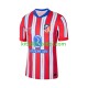 Camisola Atlético Madrid Homem Equipamento principal 2024-2025 Mangas Curtas