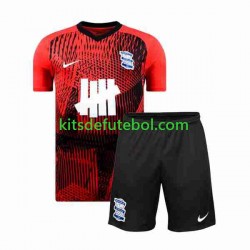 Camisola Birmingham City Criança Equipamento alternativo 2023-2024 Mangas Curtas