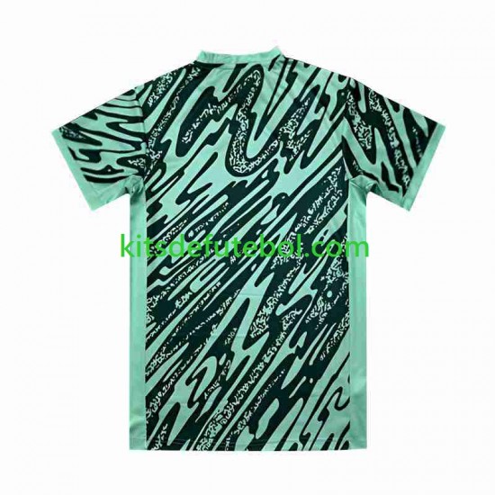 Camisola de Guarda-redes Seleção da Brasileira Verde Copa America Homem Terceiro equipamento 2024 Mangas Curtas