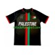 Camisola Club Deportivo Palestino Center Stripre Homem Equipamento principal 2024-2025 Mangas Curtas