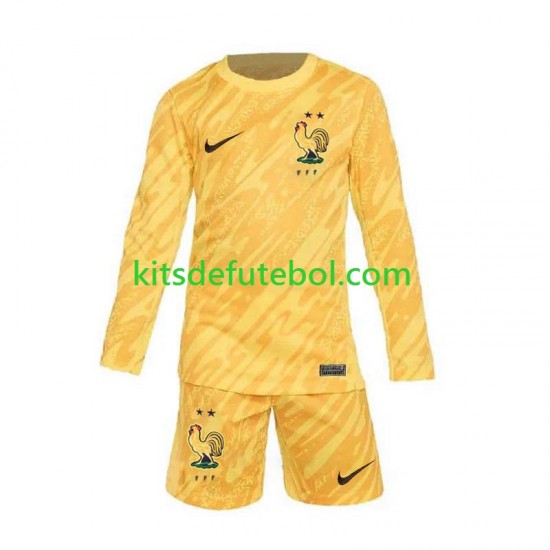 Camisola de Guarda-redes Seleção da Francesa Amarelo Criança Equipamento principal Europeu 2024 Mangas Compridas
