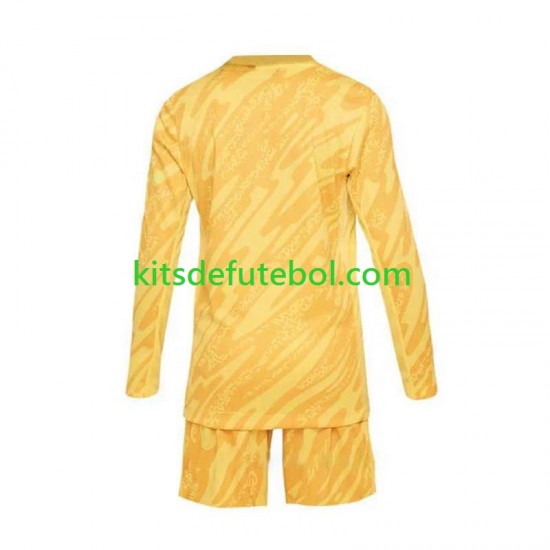 Camisola de Guarda-redes Seleção da Francesa Amarelo Criança Equipamento principal Europeu 2024 Mangas Compridas