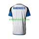 Camisola Hamburger SV Homem Equipamento principal 2023-2024 Mangas Curtas