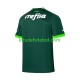 Camisola Palmeiras Homem Equipamento principal 2023-2024 Mangas Curtas