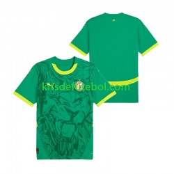Camisola Seleção da Senegalesa Homem Equipamento alternativo 2025 Mangas Curtas