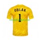 Camisola de Guarda-redes Seleção da Eslovena Amarelo Jan Oblak 1 Homem Equipamento principal Europeu 2024 Mangas Curtas