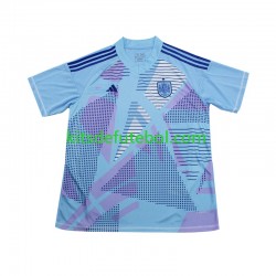 Camisola de Guarda-redes Seleção da Espanhola Azul Homem Equipamento alternativo Europeu 2024 Mangas Curtas