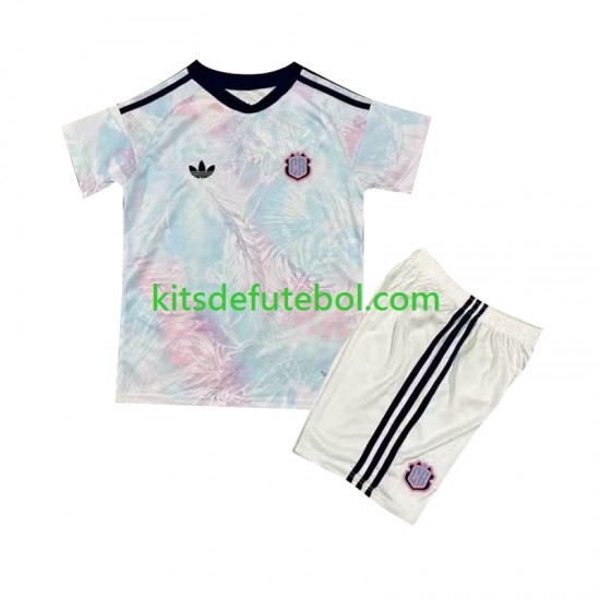 Camisola Seleção da Costarriquenha Criança Equipamento alternativo 2026 Mangas Curtas