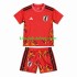 Camisola de Guarda-redes Seleção da Japonesa Criança Equipamento principal Mundial 2026 Mangas Curtas