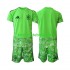Camisola de Guarda-redes Seleção da Espanhola 6th Green color Criança Mundial 2026 Mangas Curtas