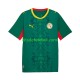 Camisola Seleção da Senegalesa Homem Equipamento alternativo 2026 2027 Mangas Curtas